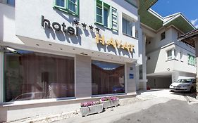 Hotel Hayat